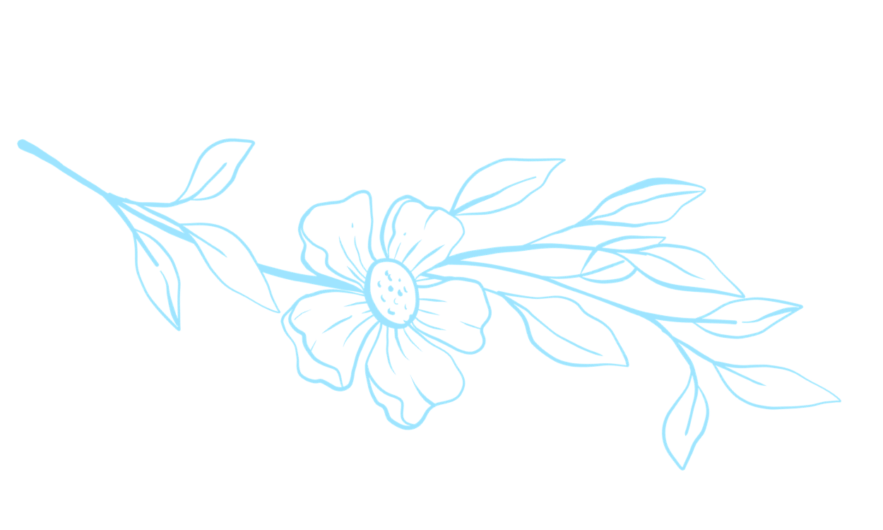 Decoration